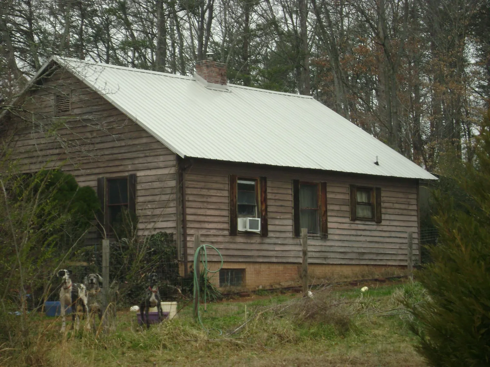 White metal roof on an old wood sided farmhouse, from a Asphalt Shingle Roof Repair job in Georgetown